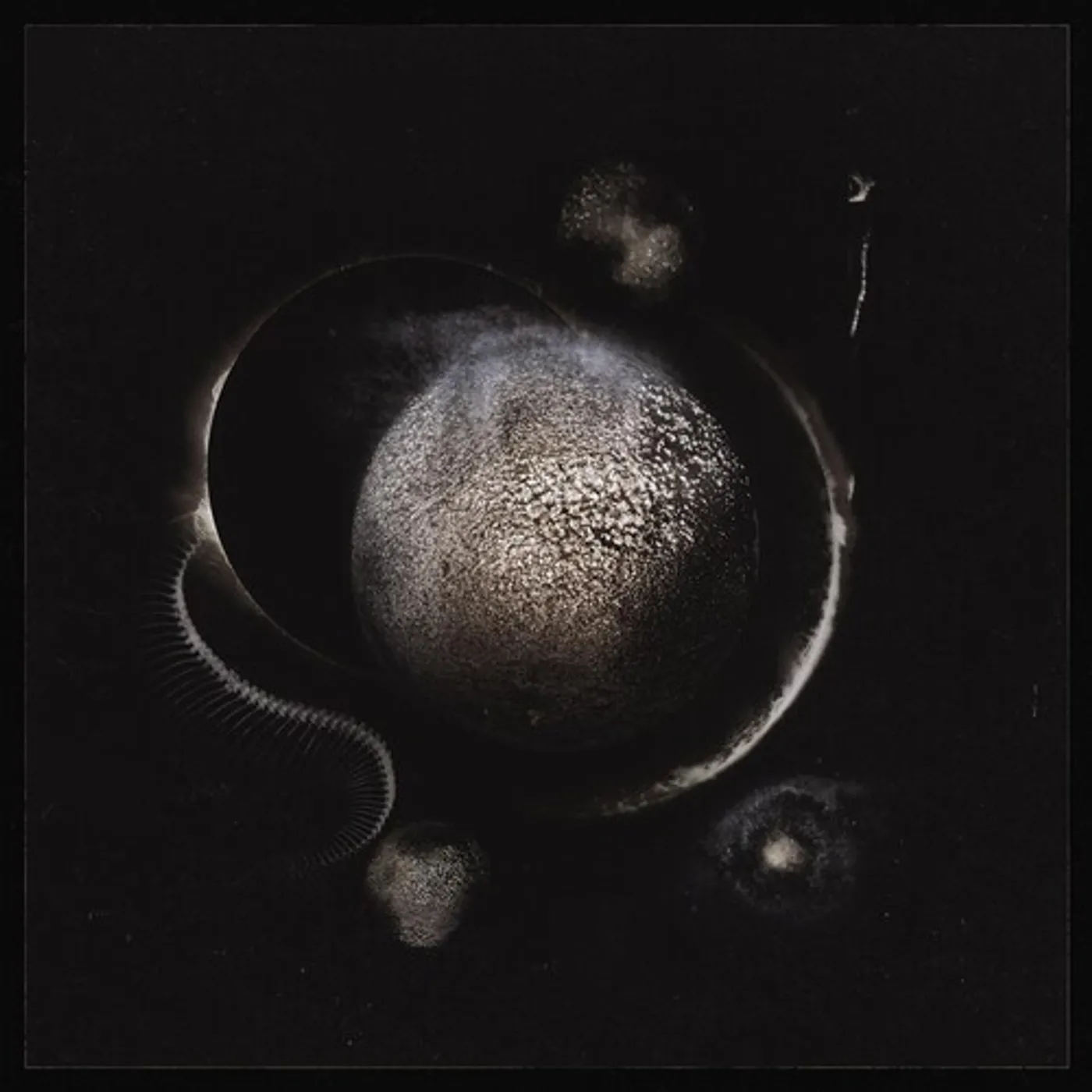 Enthroned Cold Black Suns Vinyl Record