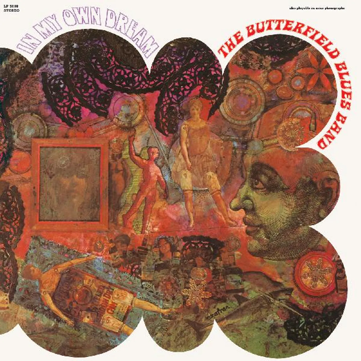 Paul Butterfield In My Own Dream Vinyl Record