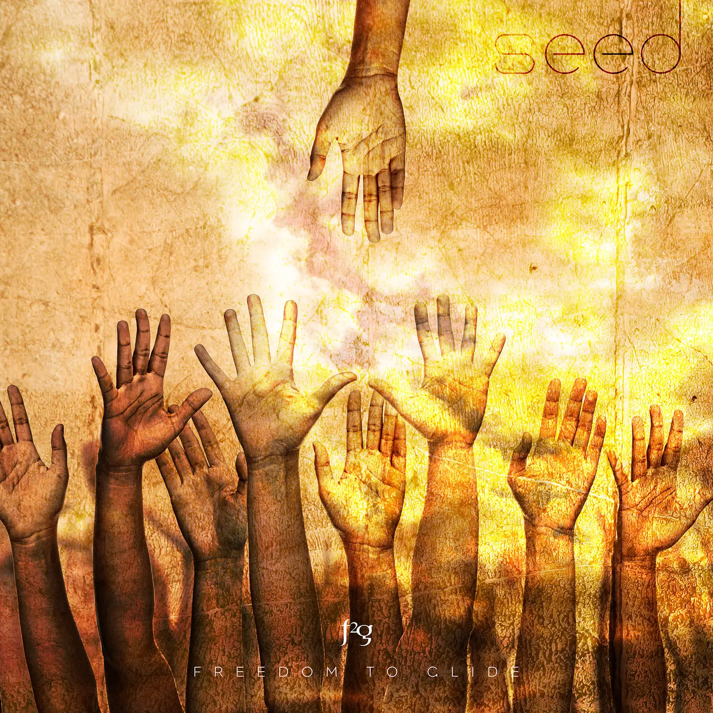 Freedom To Glide SEED CD