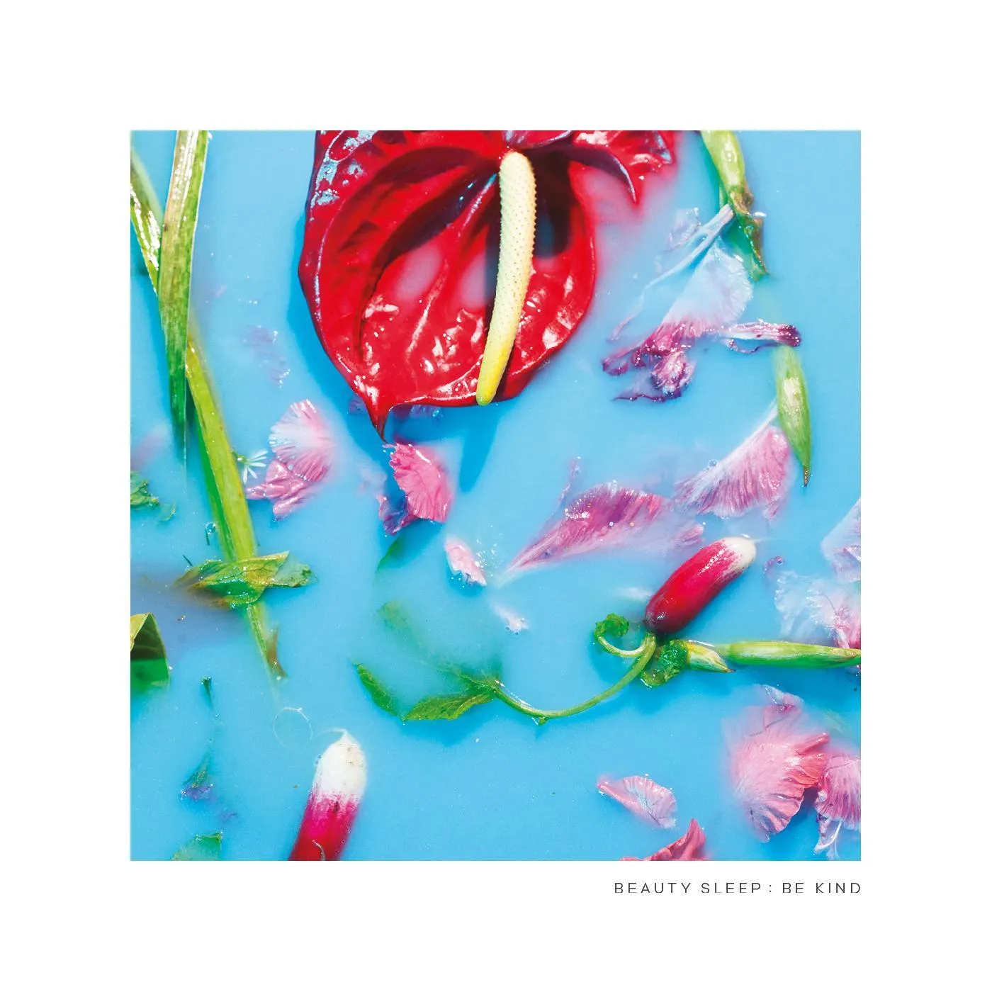Beauty Sleep BE KIND Vinyl Record