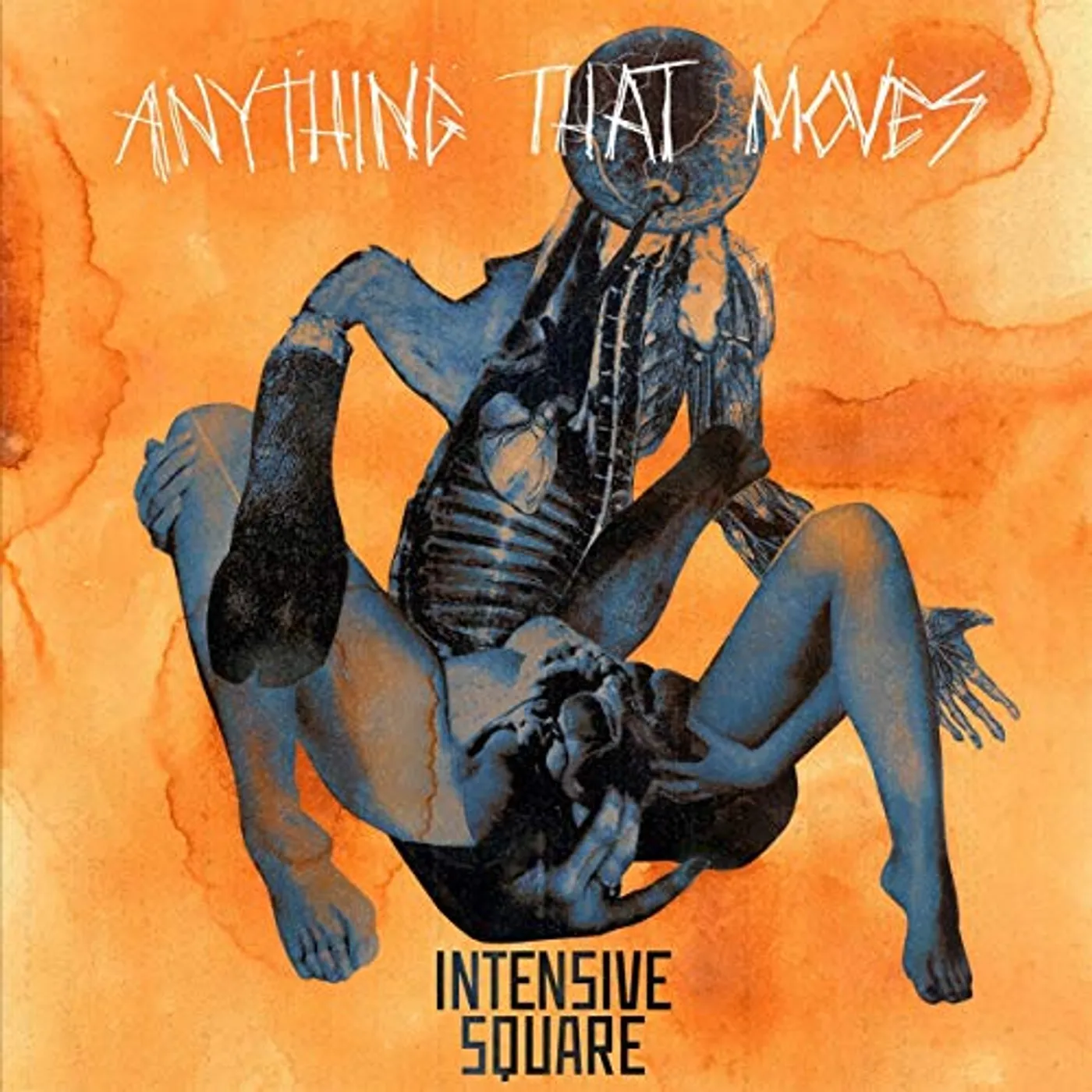 Intensive Square Anything That Moves Vinyl Record
