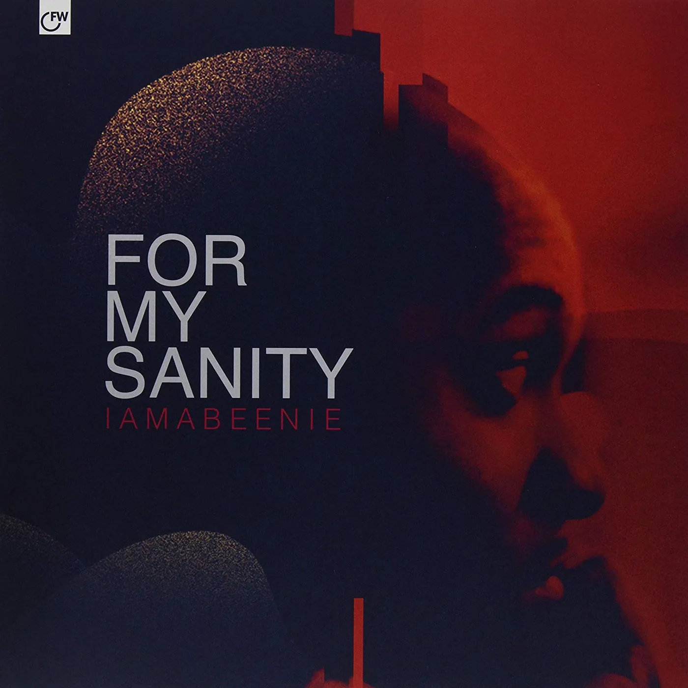 14KT For My Sanity Vinyl Record