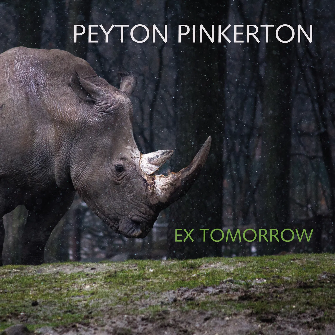Peyton Pinkerton EX TOMORROW CD