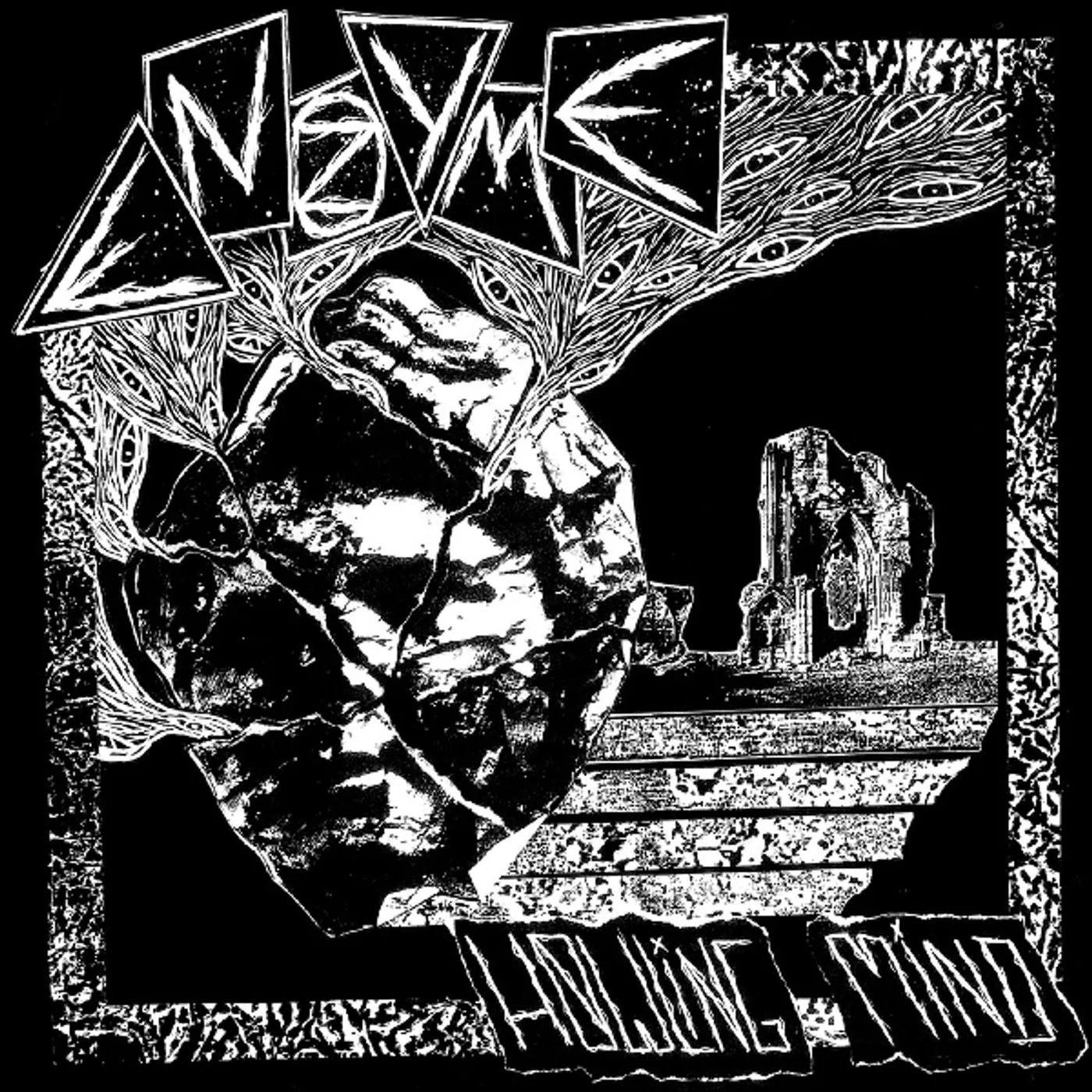 Enzyme Howling Mind Vinyl Record