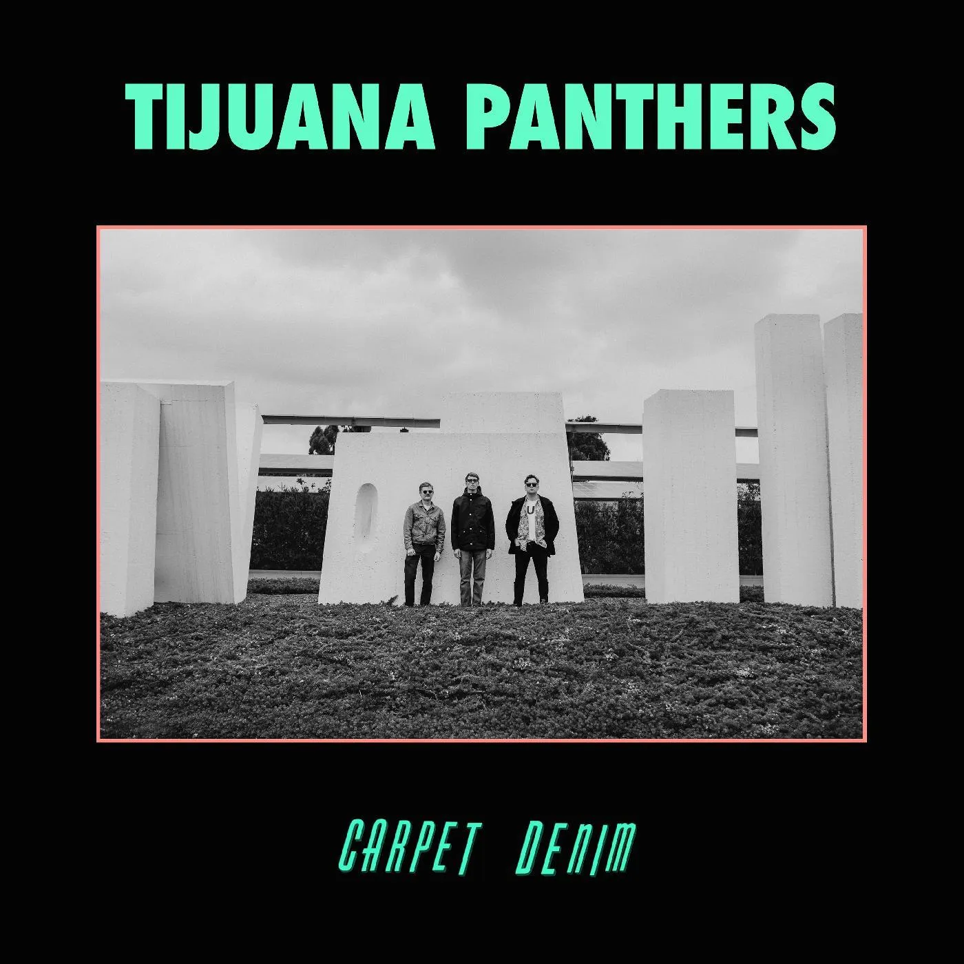Tijuana Panthers Carpet Denim Vinyl Record