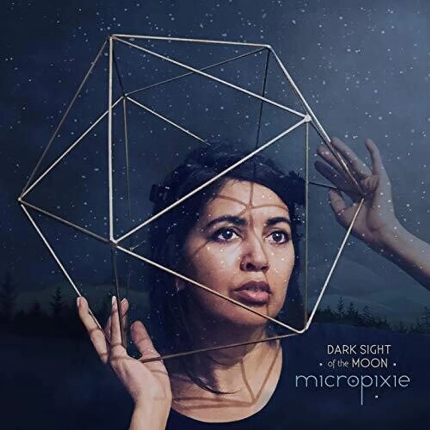 Micropixie DARK SIGHT OF THE MOON CD