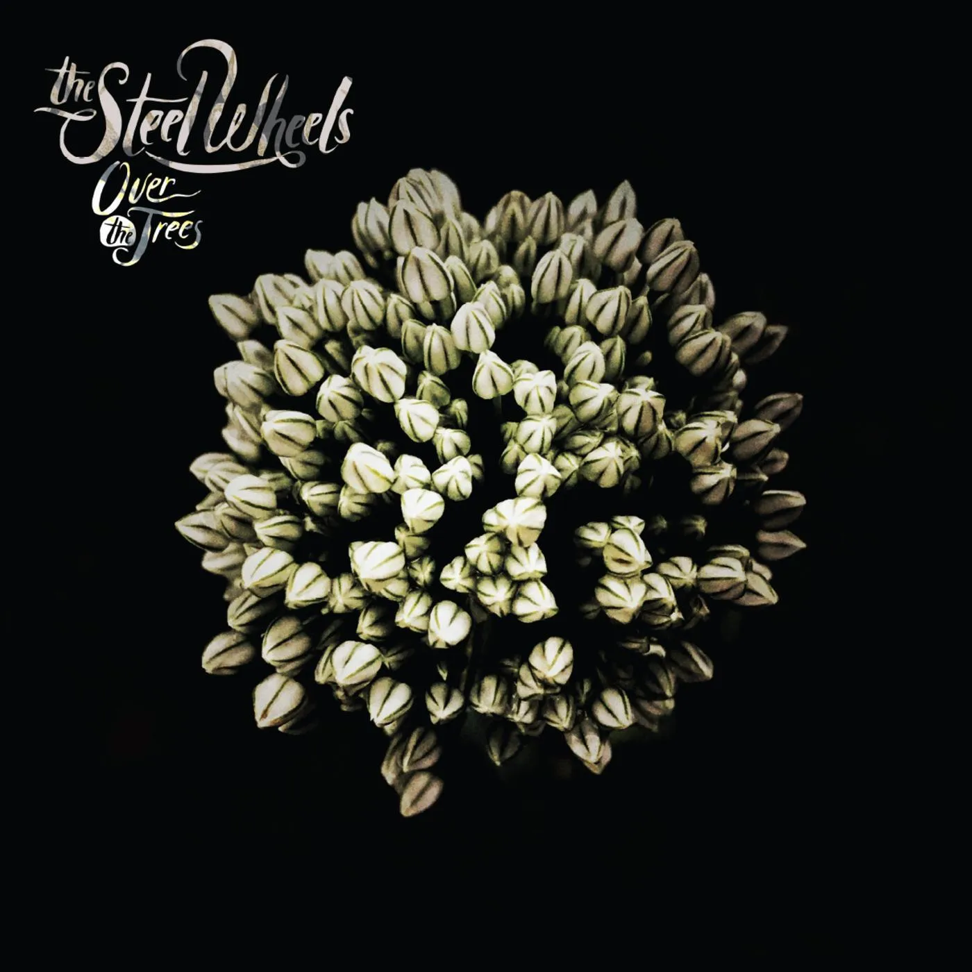 The Steel Wheels OVER THE TREES CD