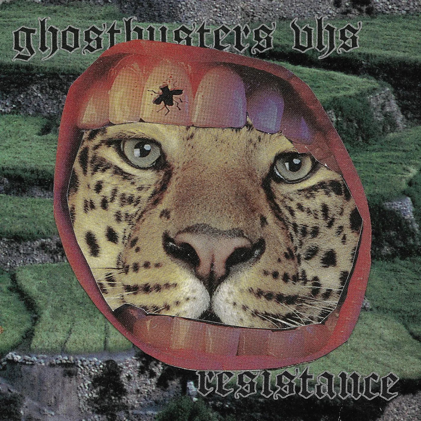 ghostbusters vhs Resistance Vinyl Record