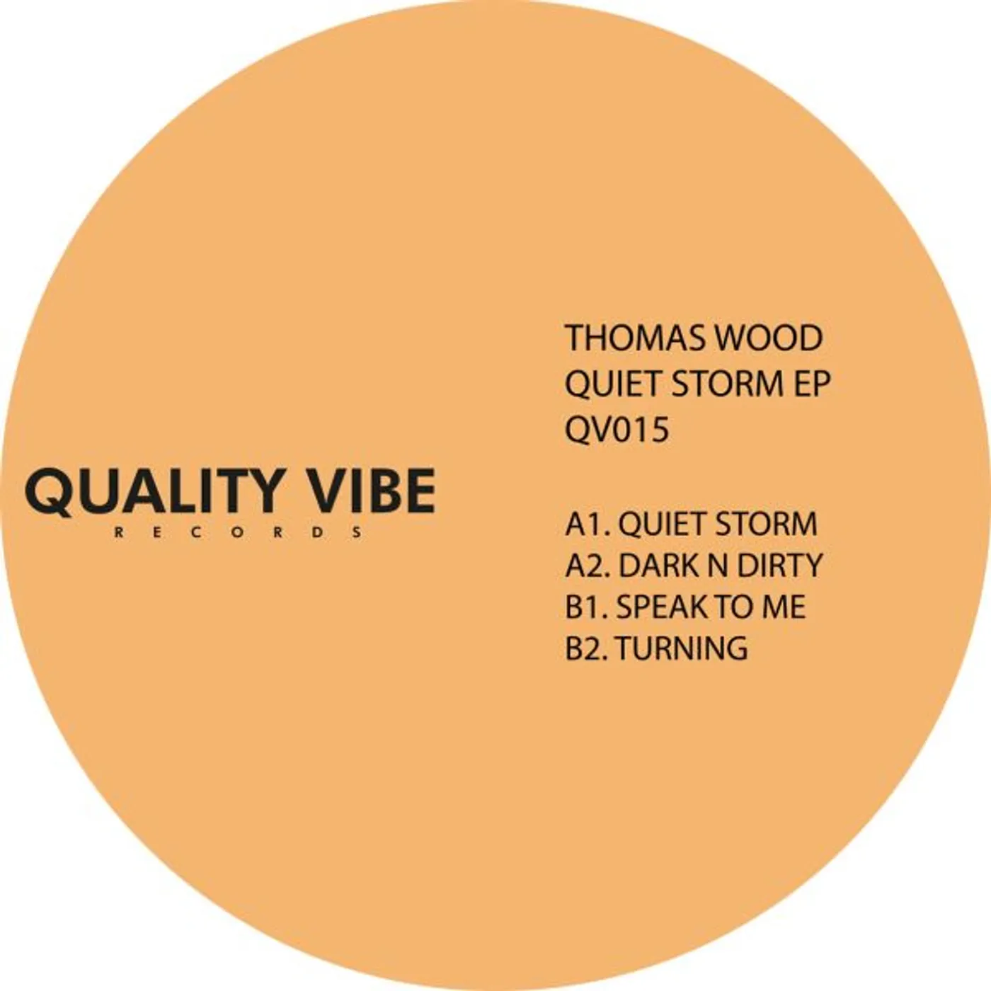 Thomas Wood QUIET STORM Vinyl Record
