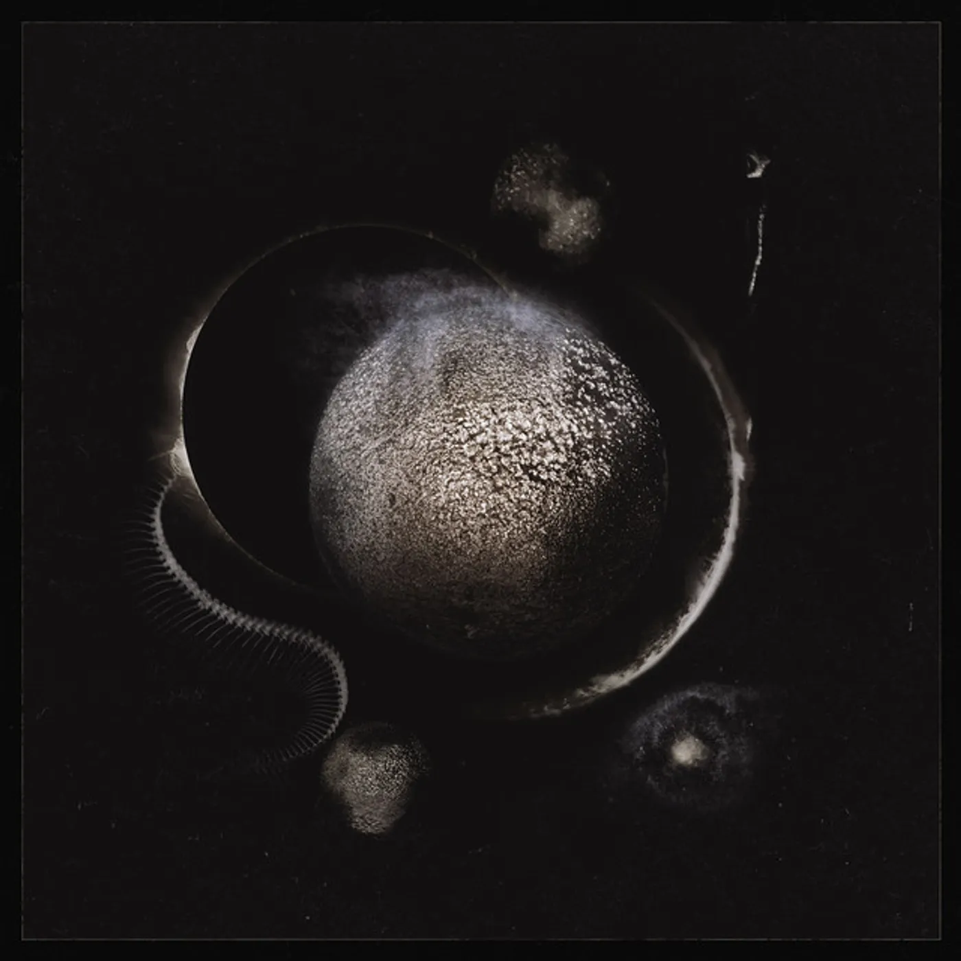 Enthroned Cold Black Suns Vinyl Record