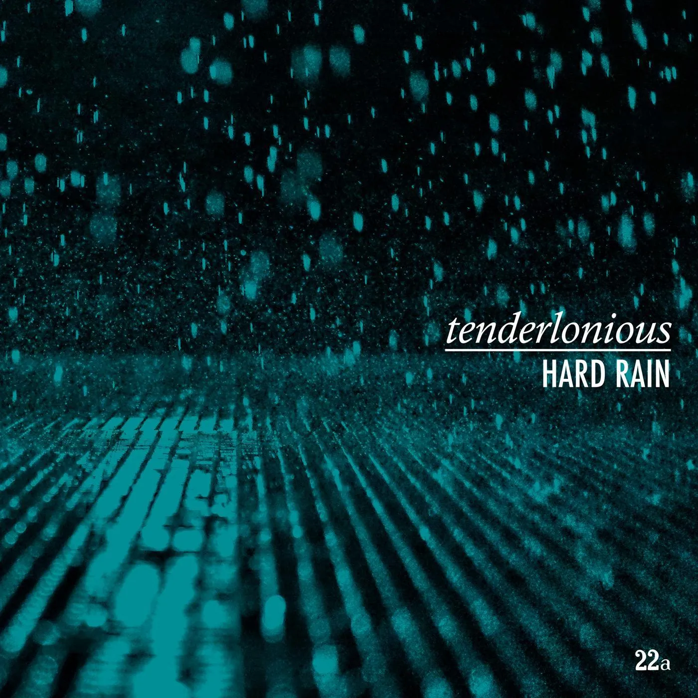 Tenderlonious Hard Rain Vinyl Record