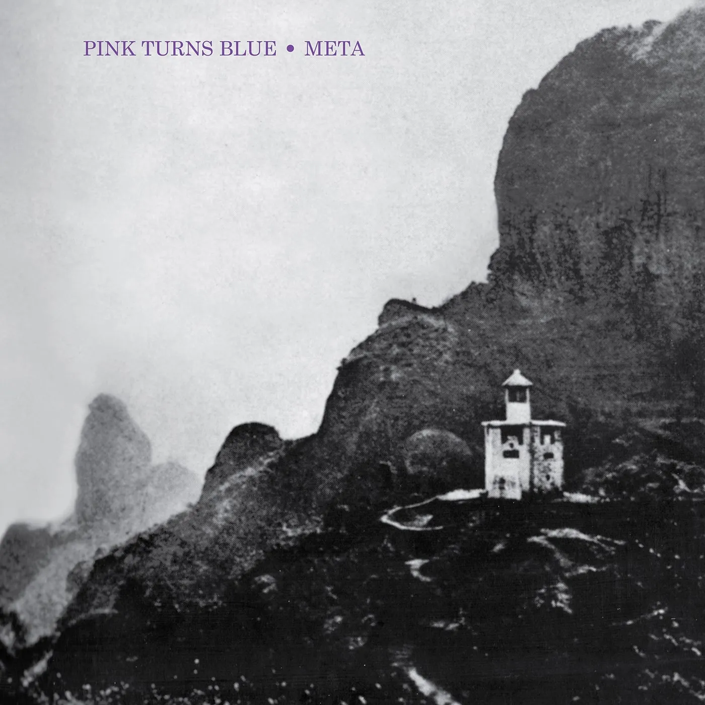 Pink Turns Blue META (REISSUE) Vinyl Record