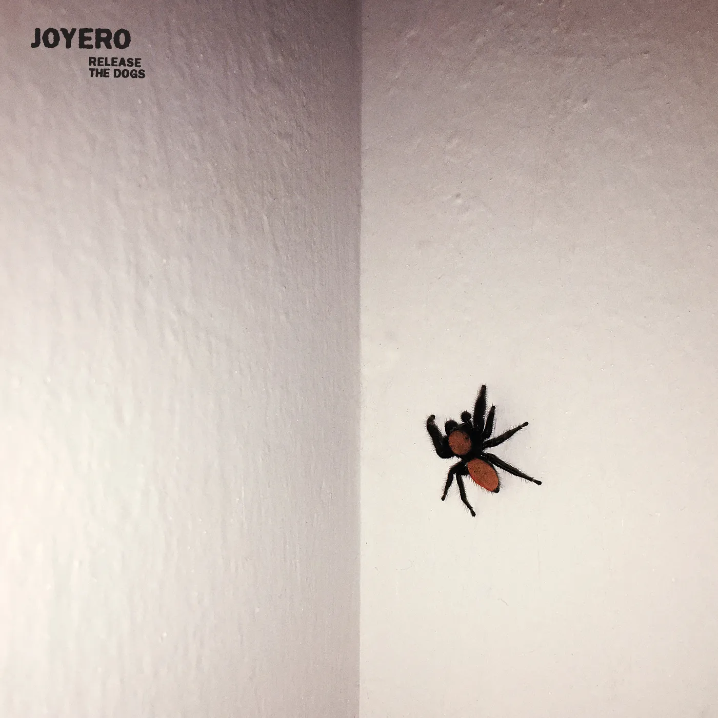 Joyero RELEASE THE DOGS CD