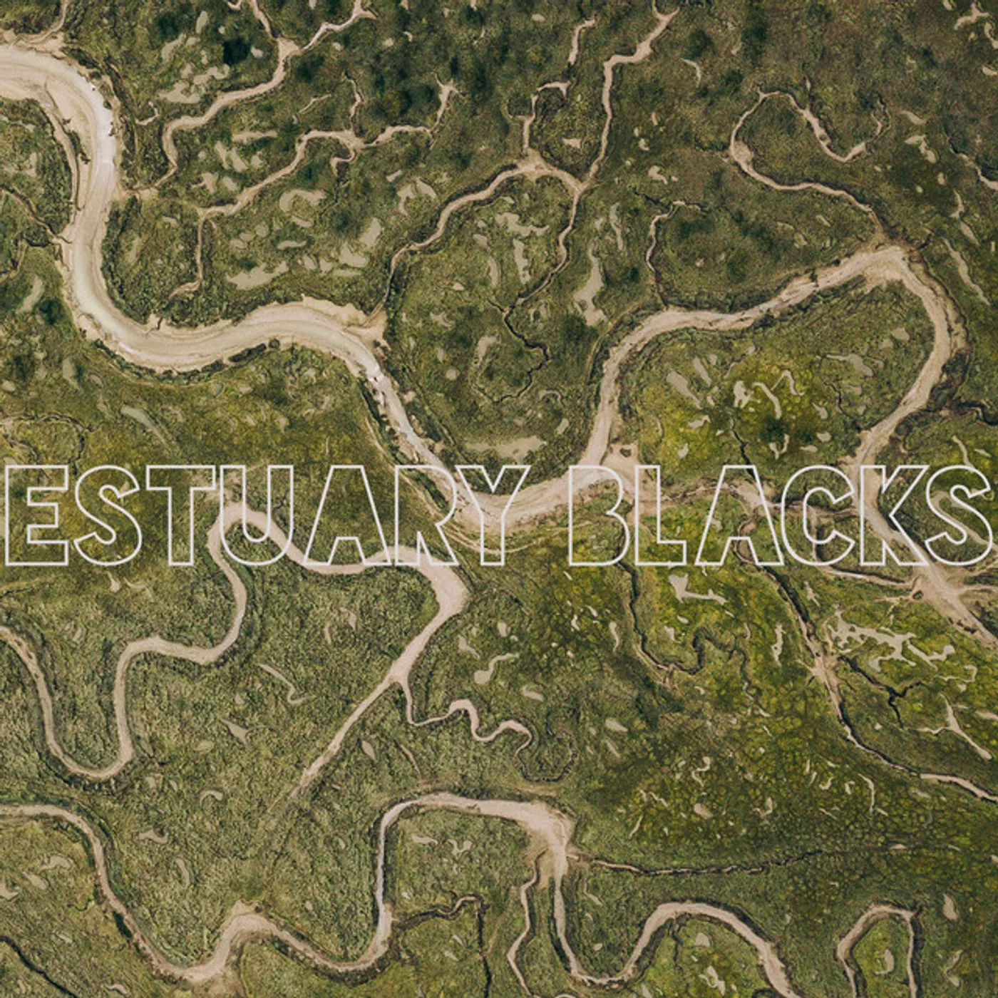 Estuary Blacks Vinyl Record