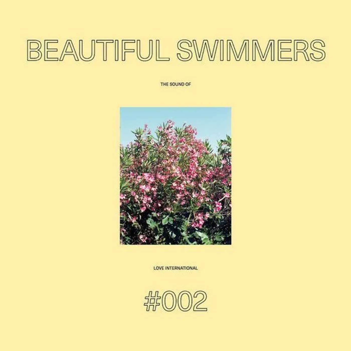Beautiful Swimmers SOUND OF LOVE INTERNATIONAL 002 Vinyl Record