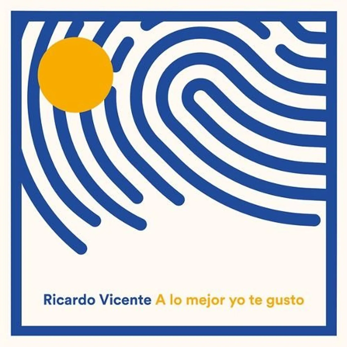 Ricardo Vicente A Lo Mejor Yo Te Gusto Vinyl Record