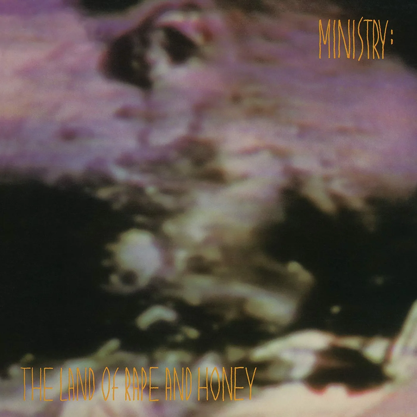 Ministry Land Of Rape and Honey Vinyl Record
