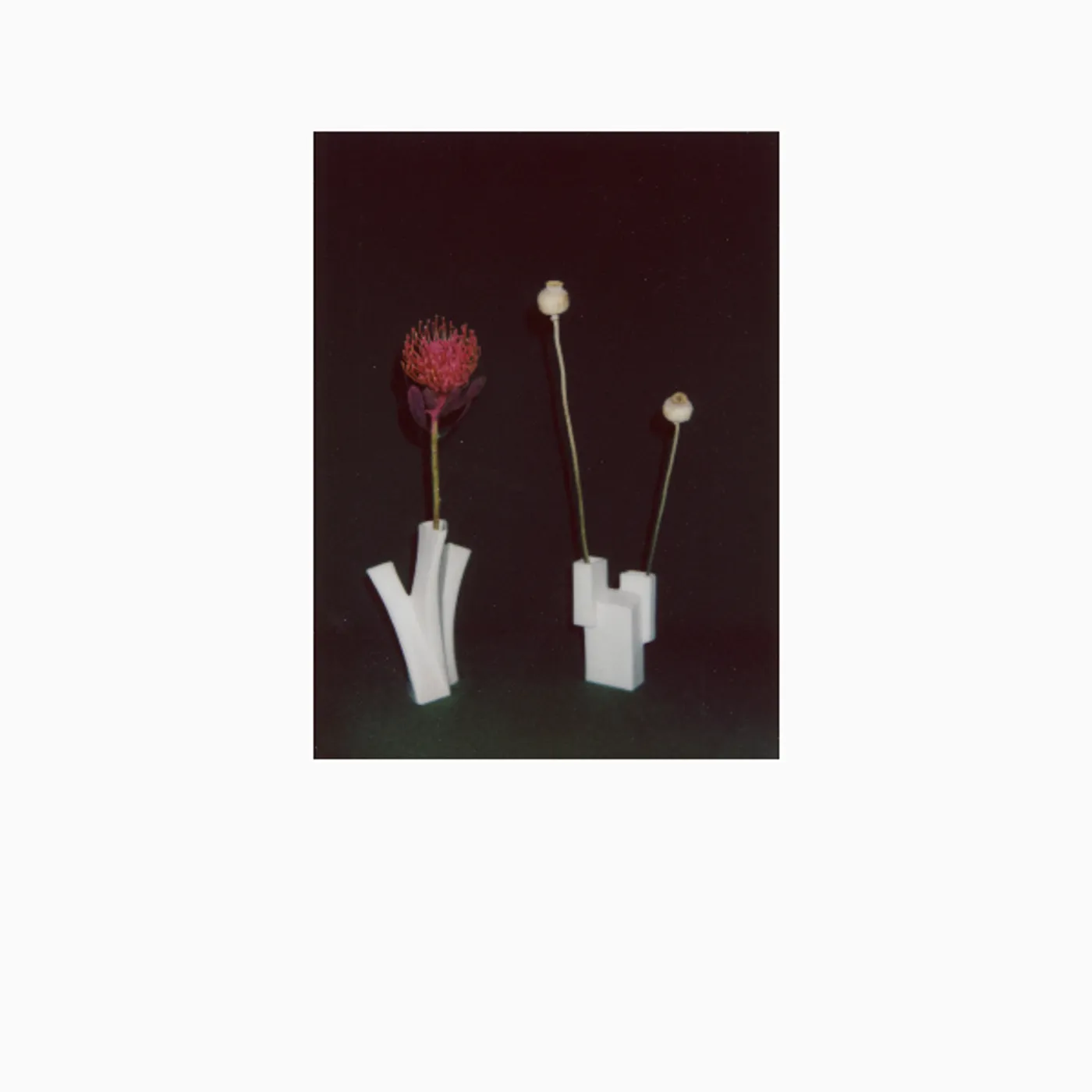 Felicia Atkinson FLOWER & VESSEL CD