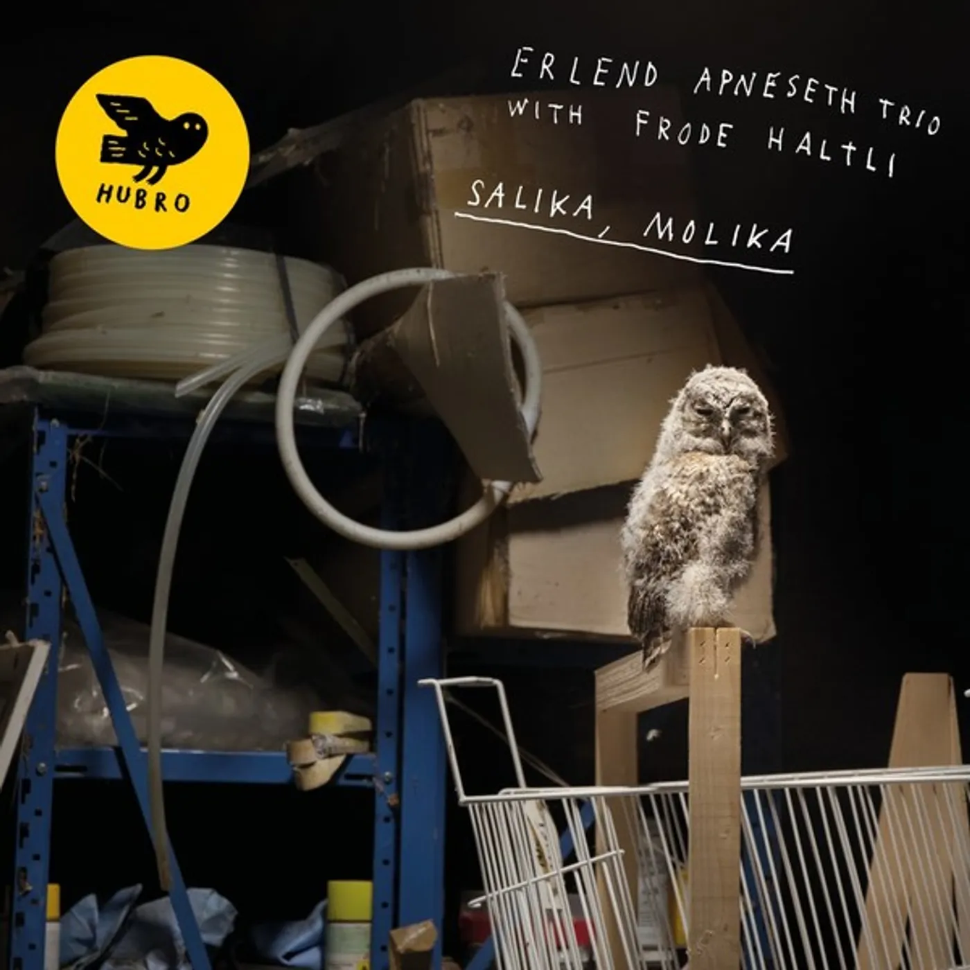 Erlend Trio Apneseth / Frode Haltli SALIKA MOLIKA Vinyl Record