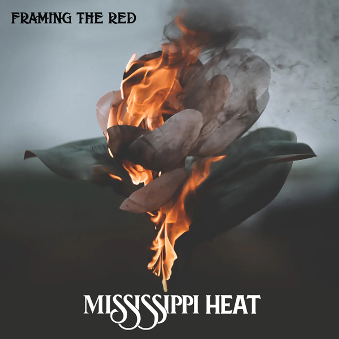 Framing the Red MISSISSIPPI HEAT CD