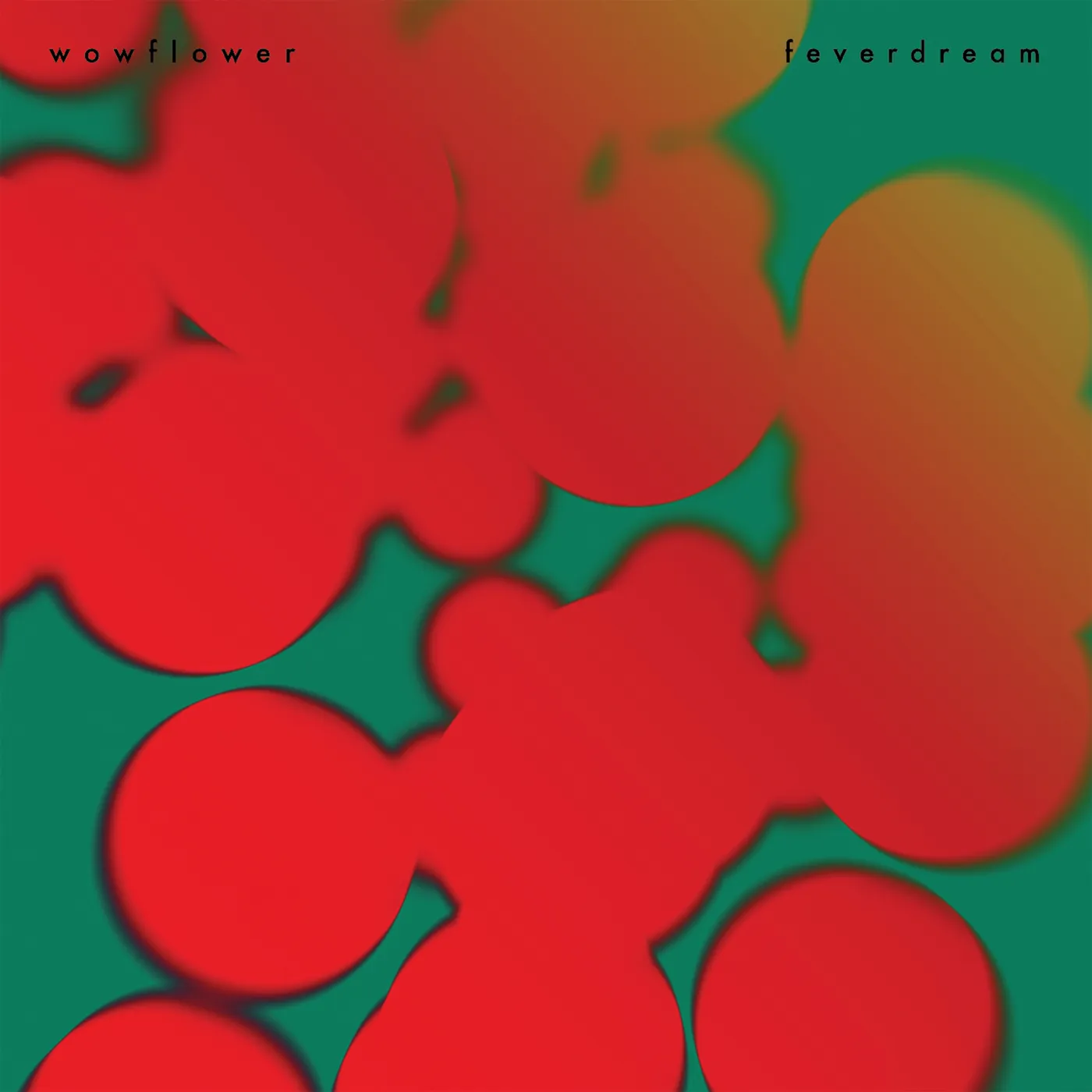 Wowflower feverdream Vinyl Record