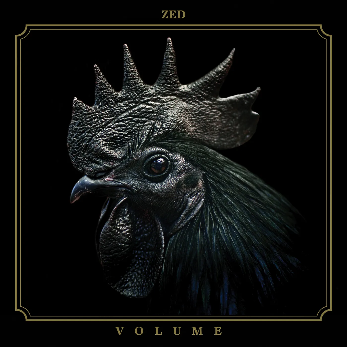 Zed Volume Vinyl Record