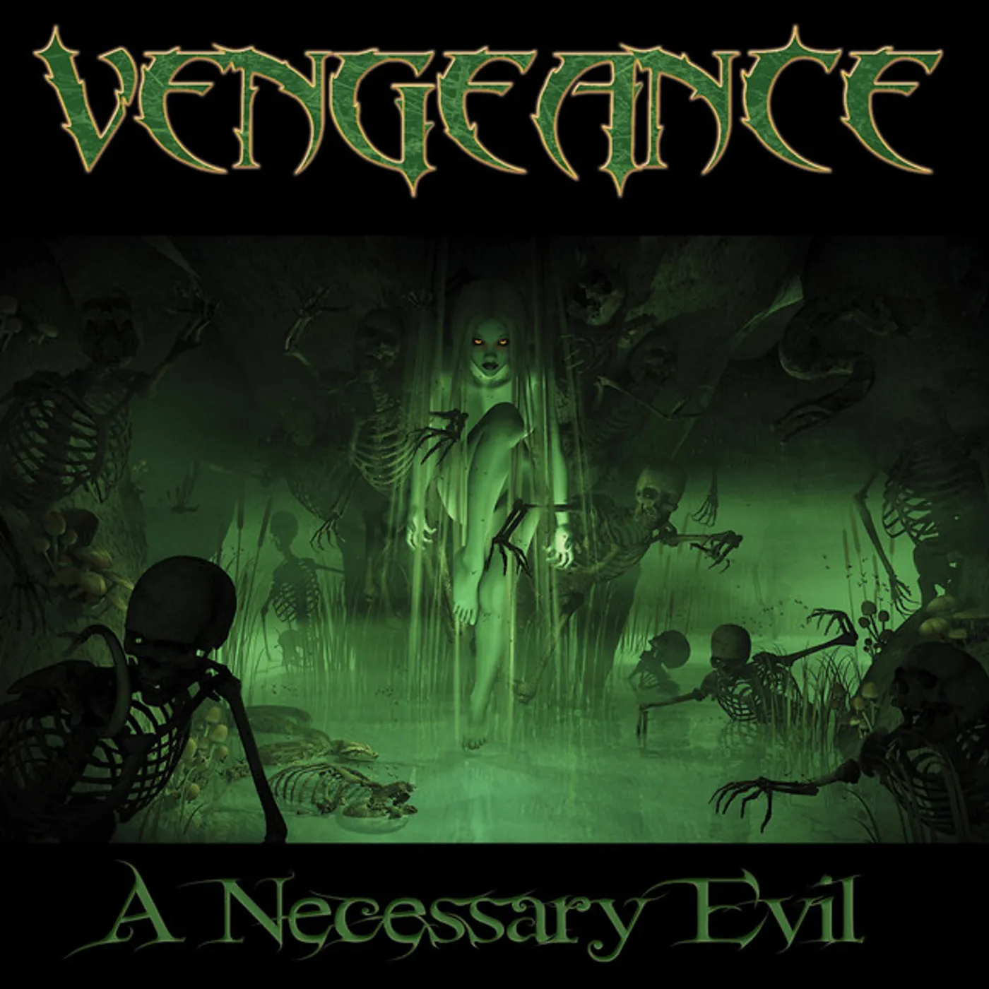 Vengeance NECESSARY EVIL CD