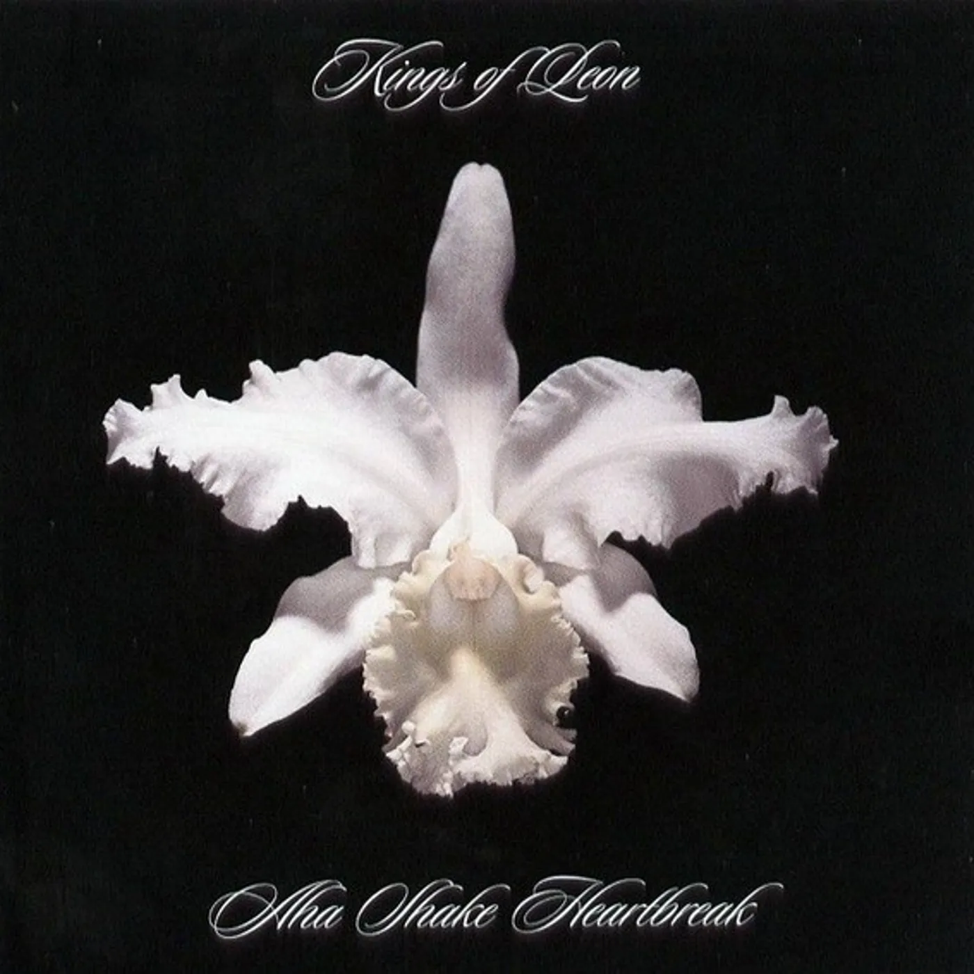 Kings of Leon AHA SHAKE HEARTBREAK (GOLD SERIES) CD