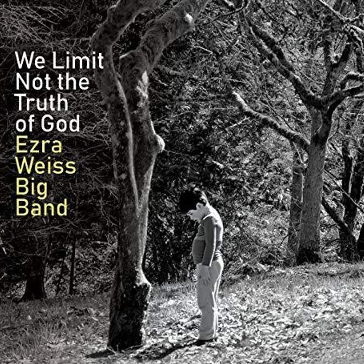 Ezra Weiss WE LIMIT NOT THE TRUTH OF GOD CD