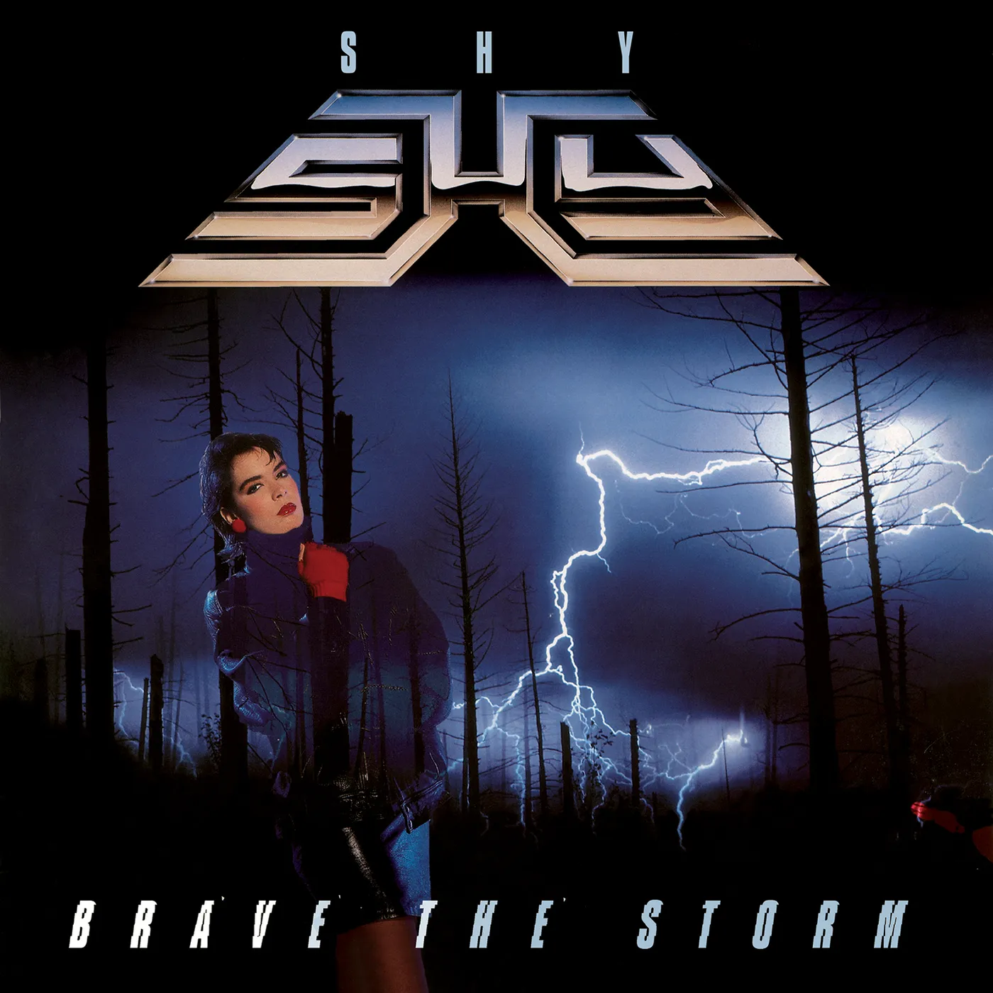 Shy BRAVE THE STORM CD