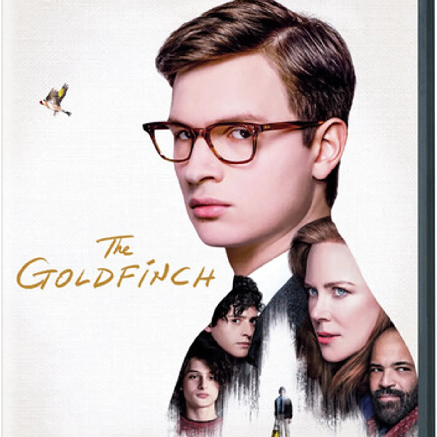 GOLDFINCH DVD