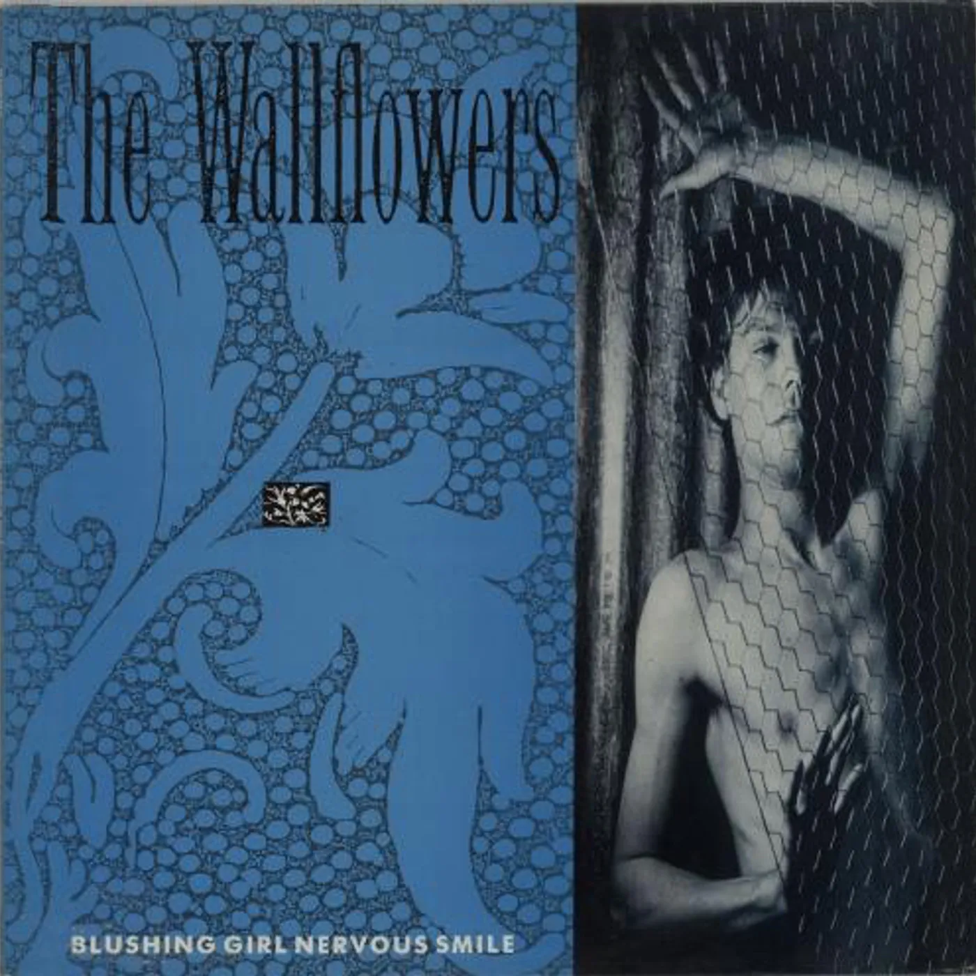 The Wallflowers Blushing Girl Nervous Smile Vinyl Record