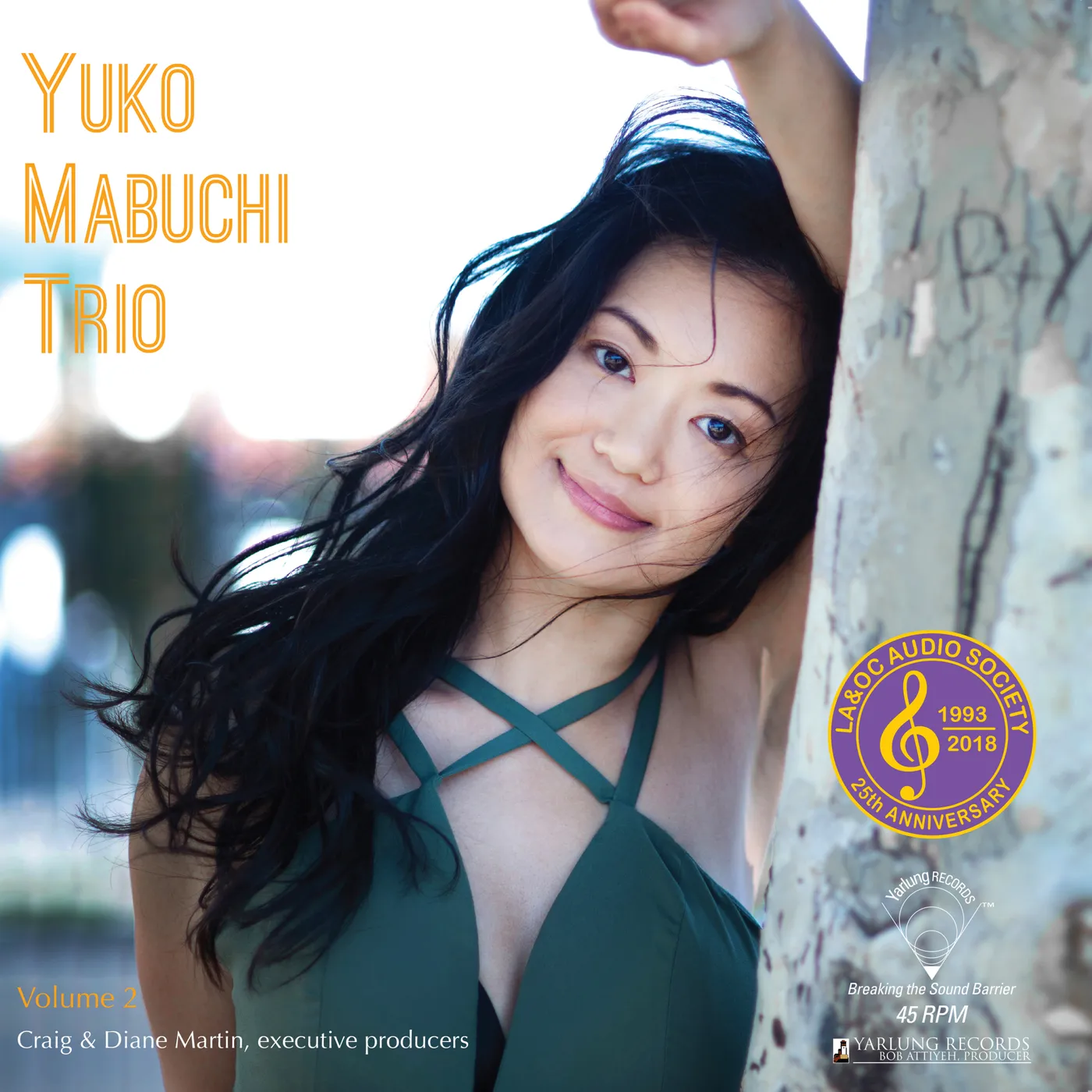 Yuko Mabuchi VOL. 2 Vinyl Record