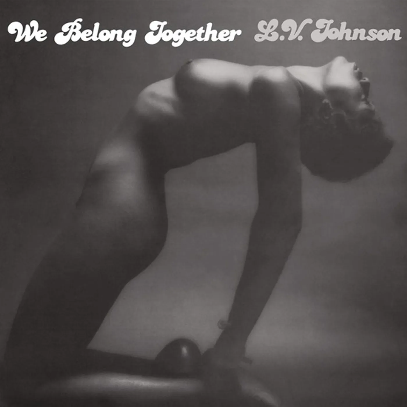 L.V. Johnson WE BELONG TOGETHER Vinyl Record