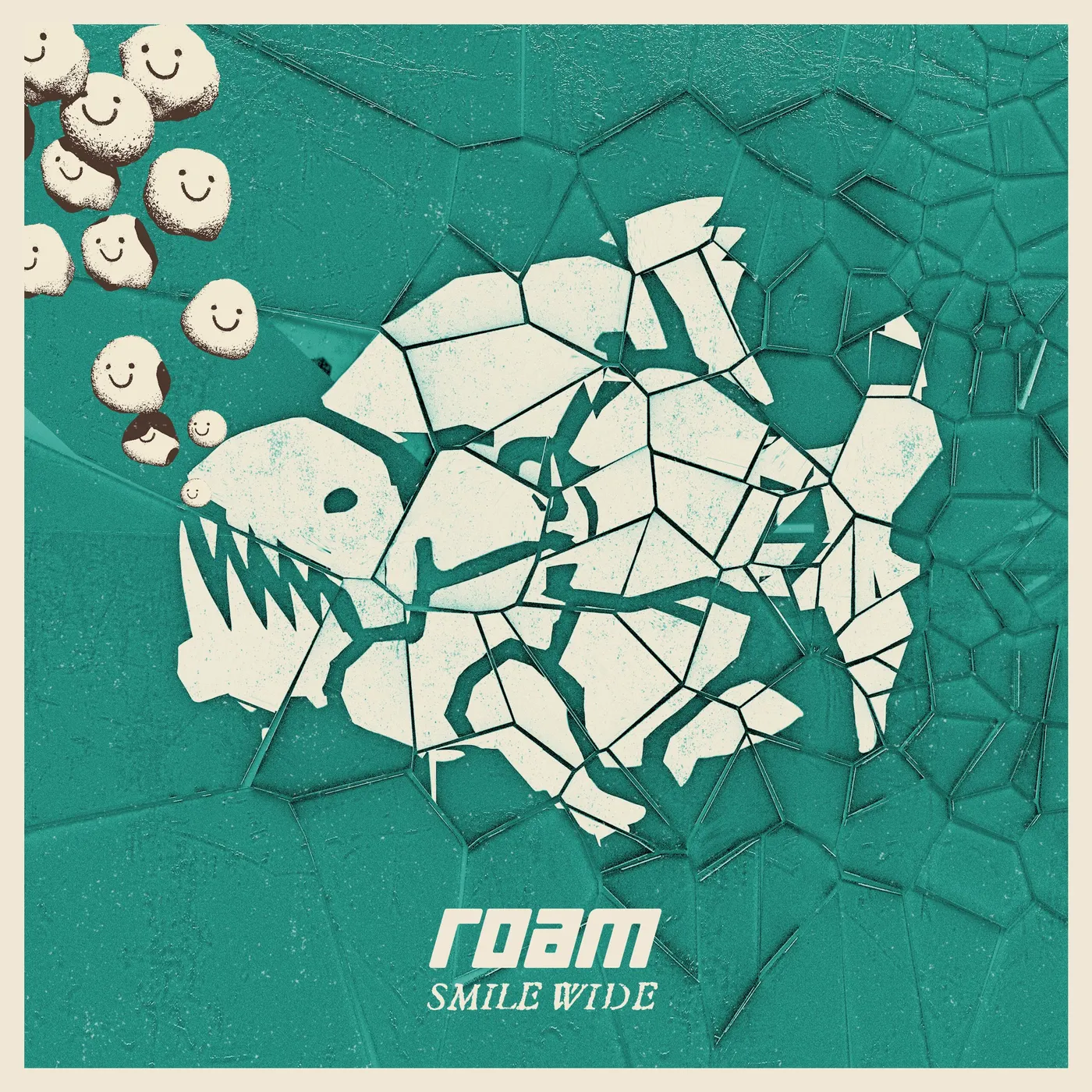 ROAM Smile Wide Vinyl Record