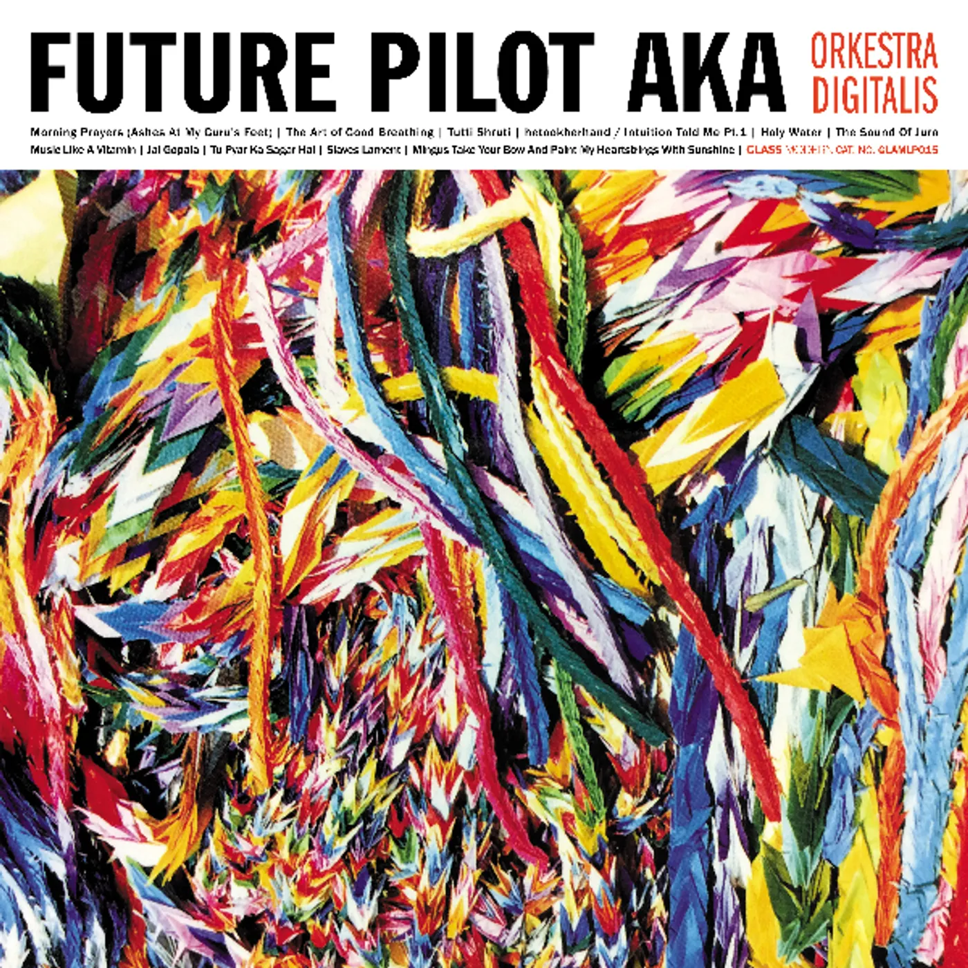 Future Pilot AKA Orkestra Digitalis Vinyl Record