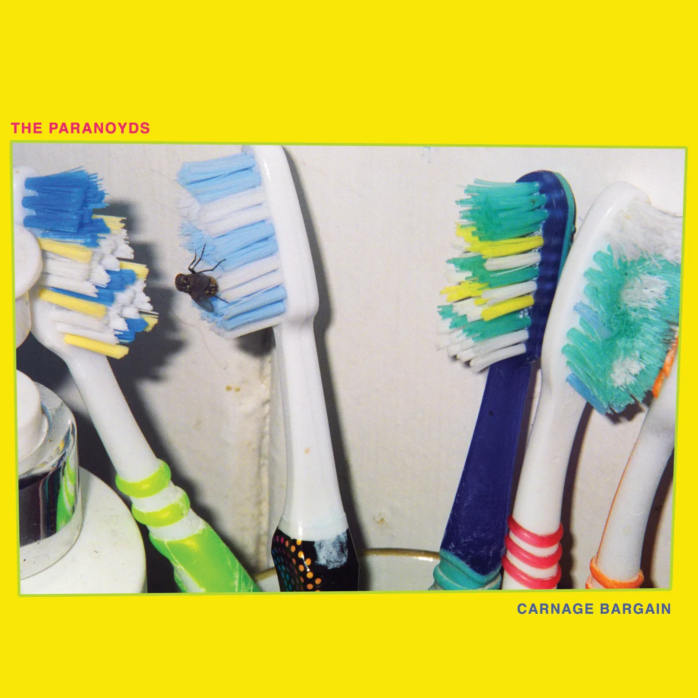 The Paranoyds Carnage Bargain Vinyl Record
