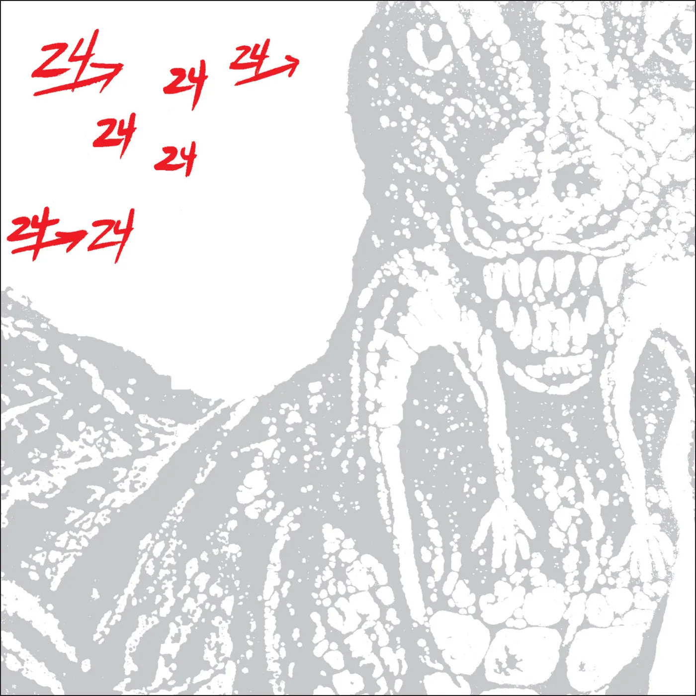 Dinosaur L 24->24 MUSIC Vinyl Record