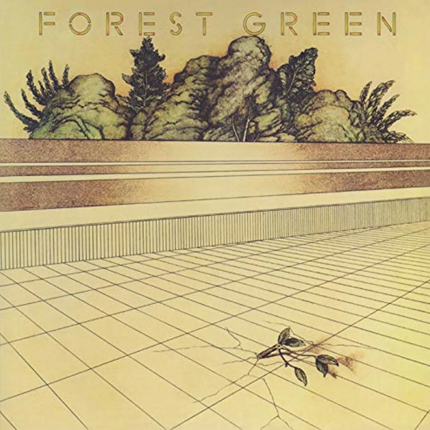 FOREST GREEN CD