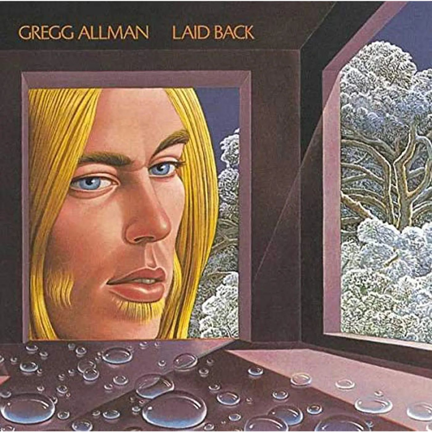Gregg Allman Laid Back Vinyl Record