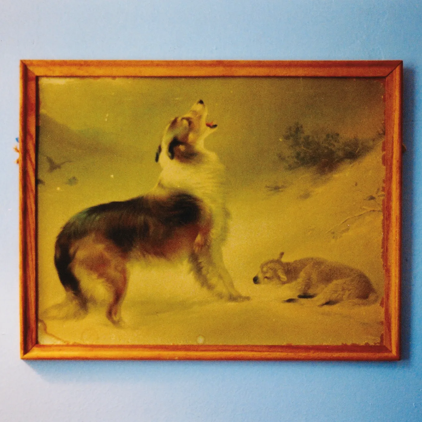 EXPLOSIONS IN THE SKY 'THE RESCUE' (ANNIV ED.) Vinyl Record