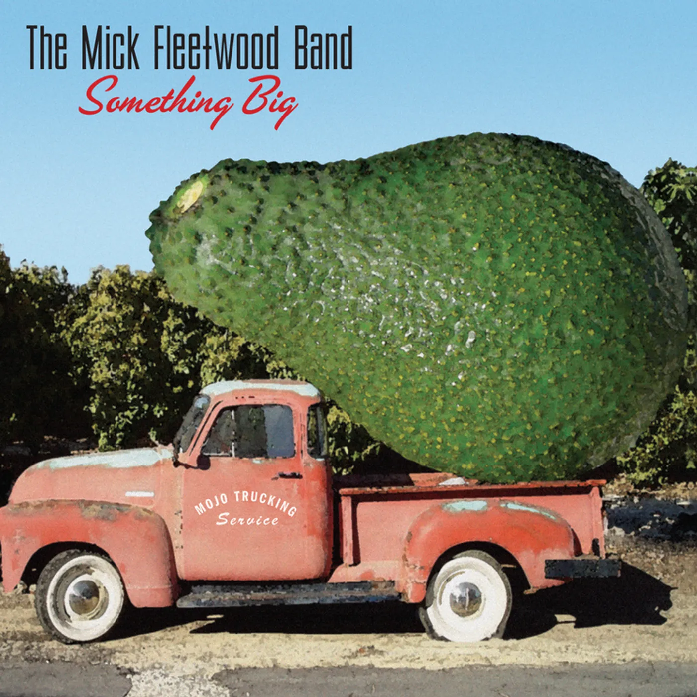 Mick Fleetwood SOMETHING BIG CD
