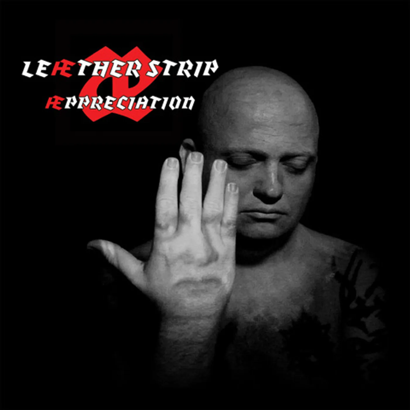 Leather Stip APPRECIATION Vinyl Record