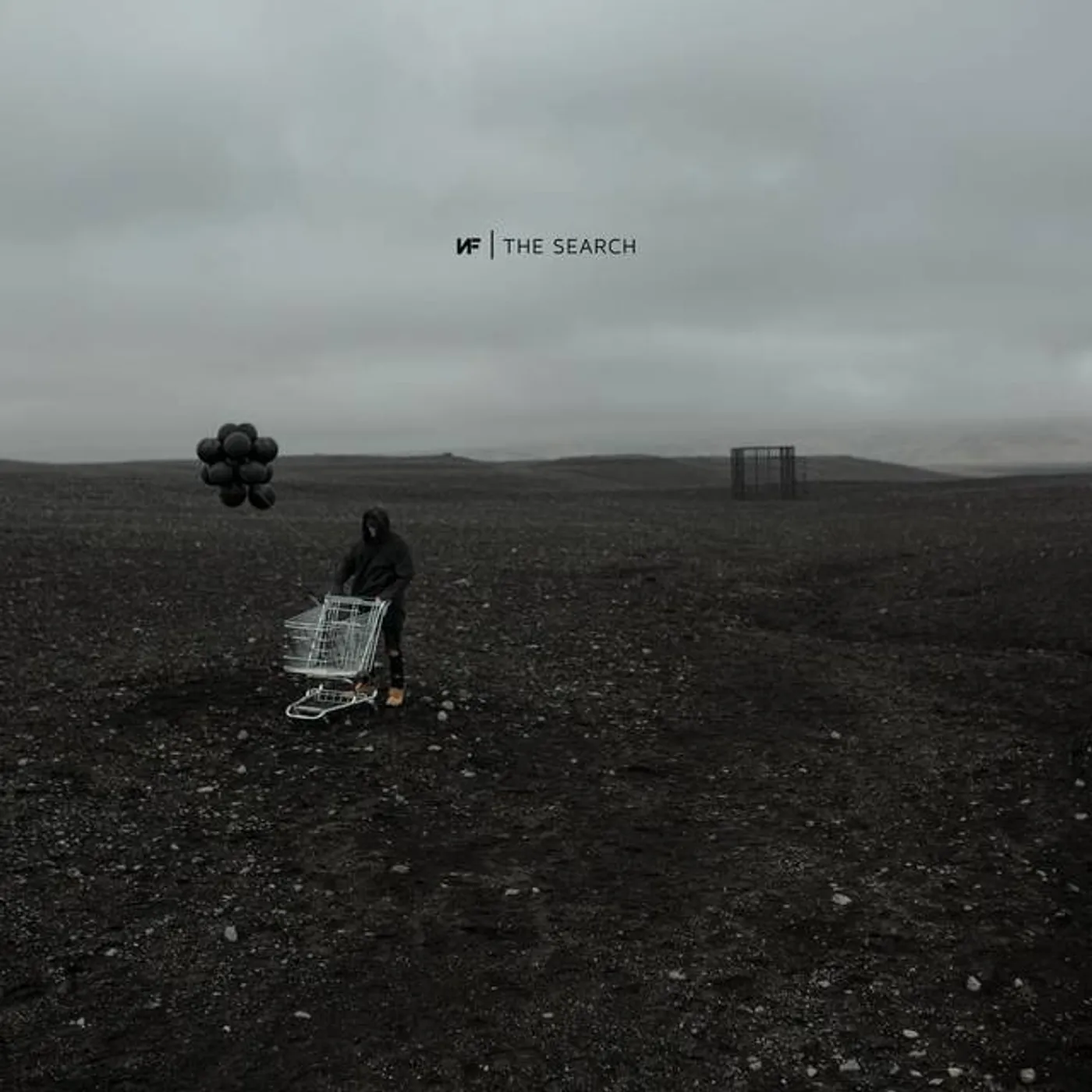 NF SEARCH CD