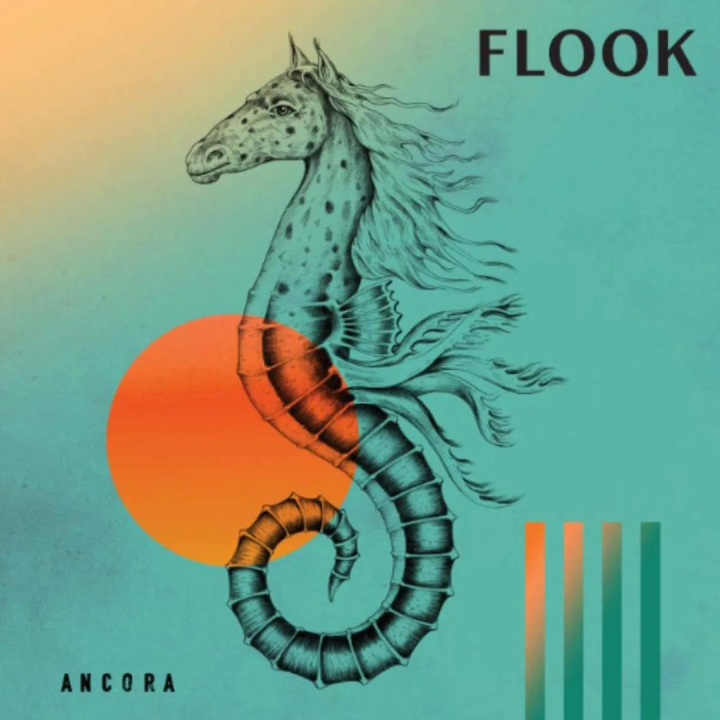 Flook Ancora Vinyl Record