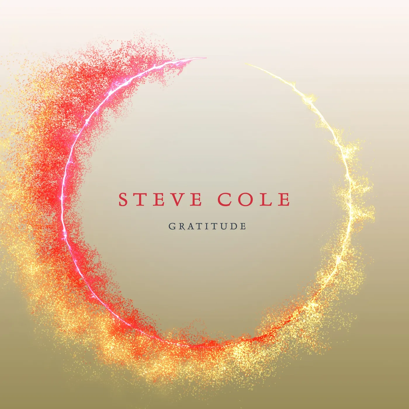 Steve Cole GRATITUDE CD
