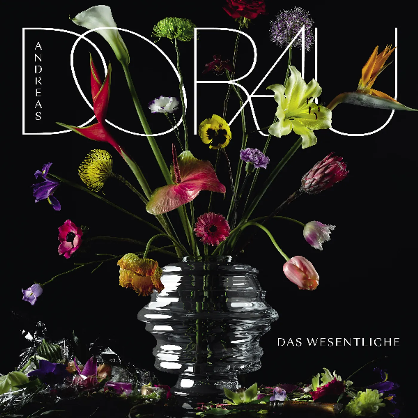 Andreas Dorau DAS WESENTLICHE CD
