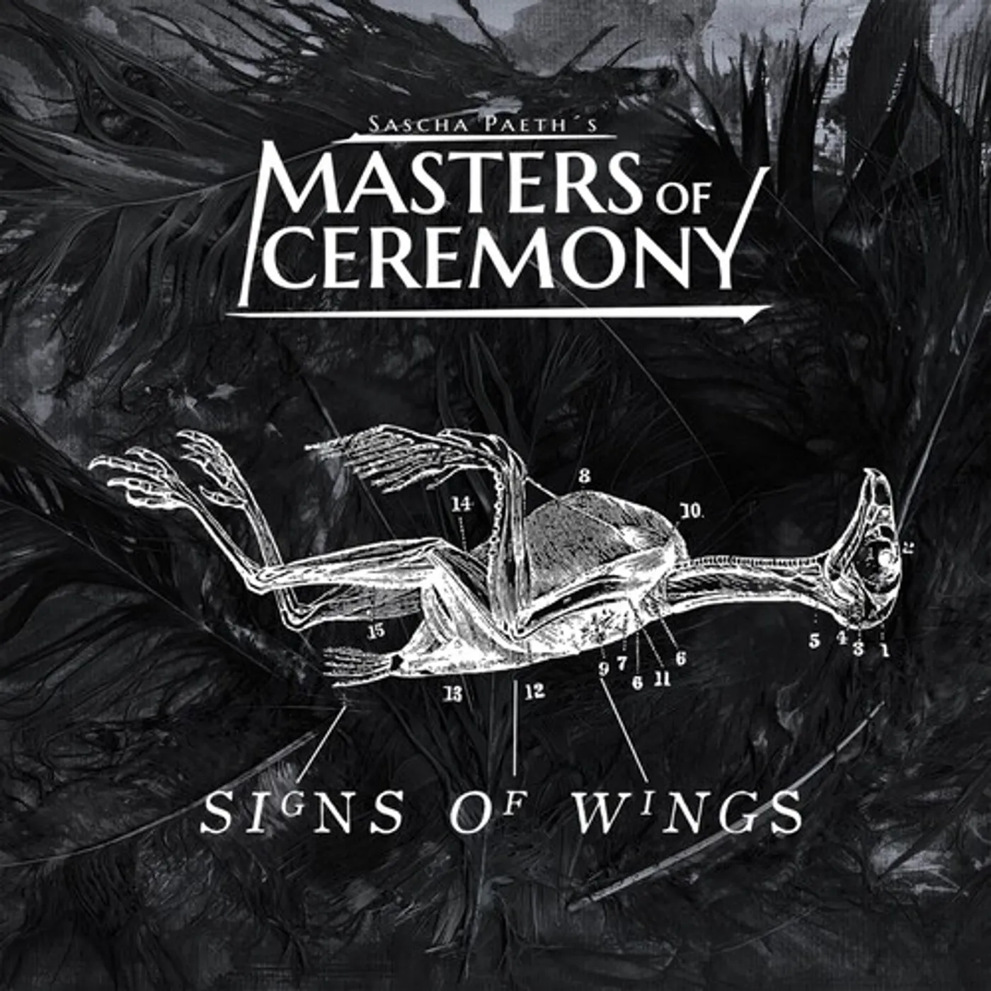 Sascha Paeth's Masters Of Ceremony SIGNS OF WINGS CD