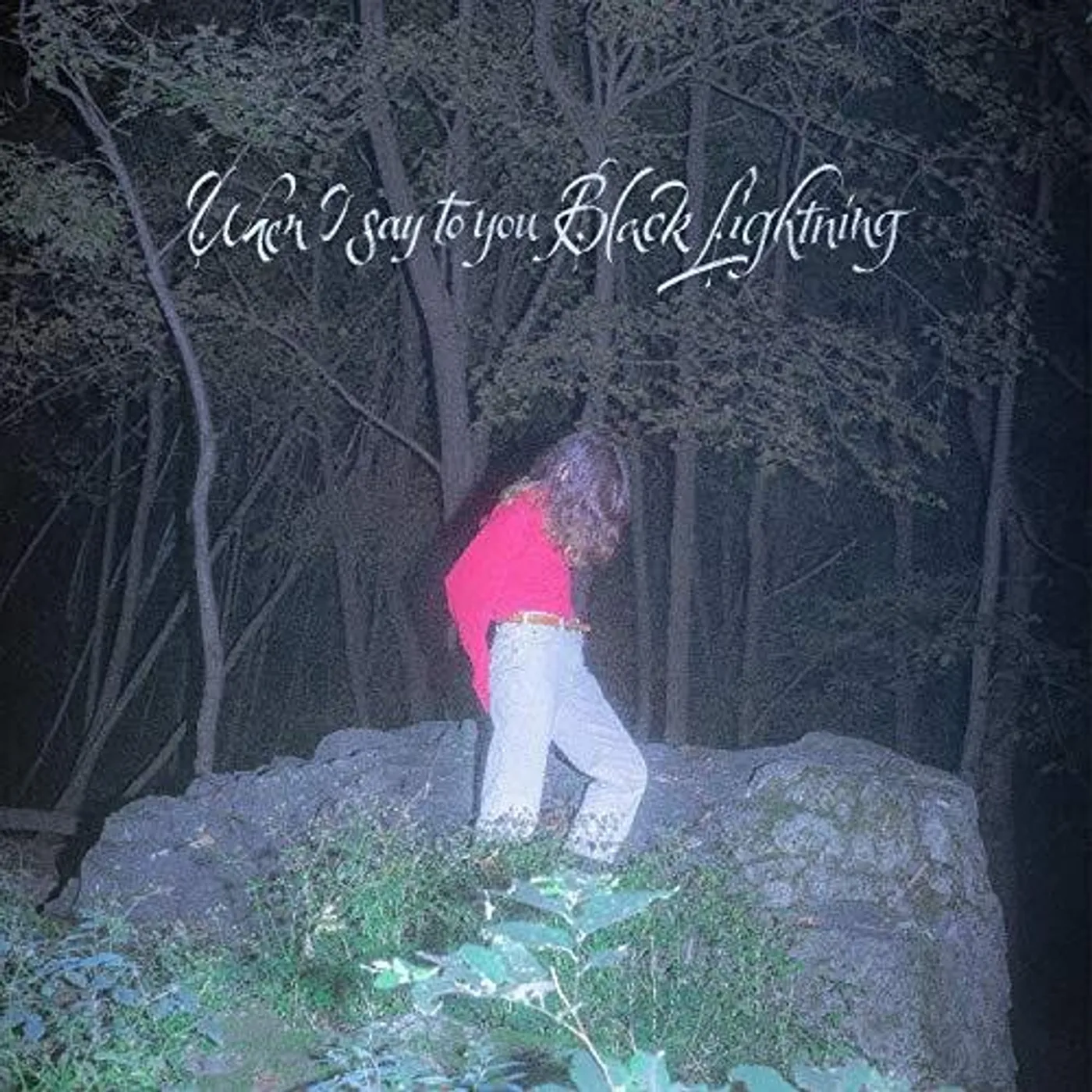 Common Holly When I say to you Black Lightning Vinyl Record
