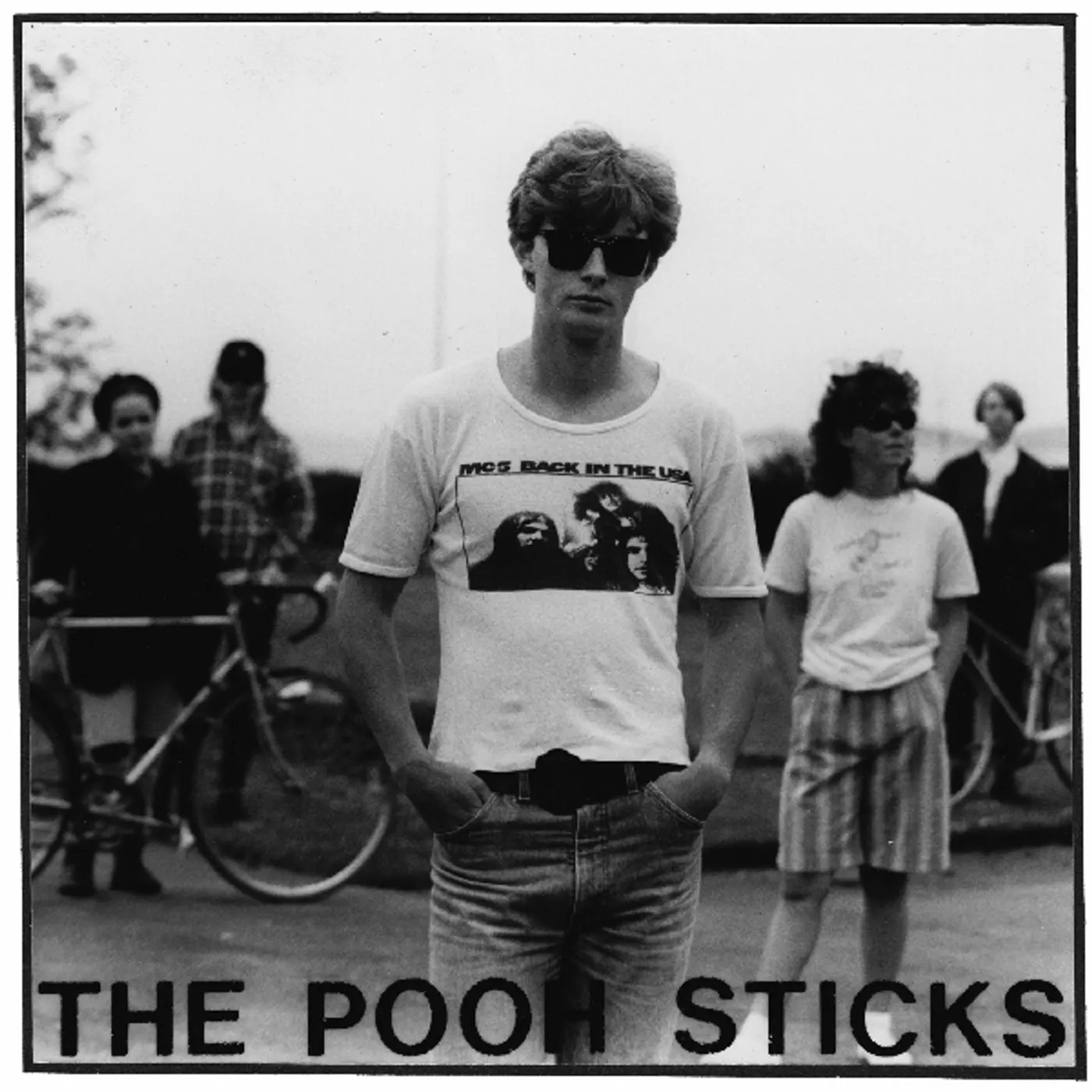 The Pooh Sticks Vinyl Record